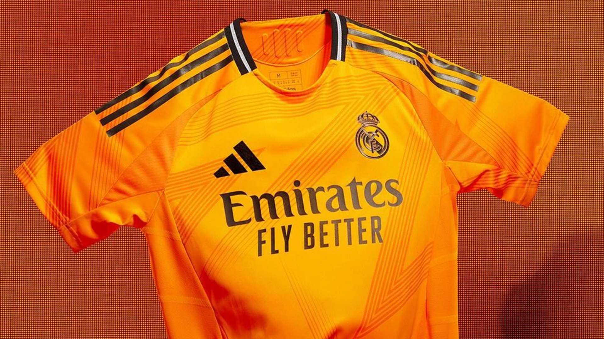 他们在赛场 他们在赛场